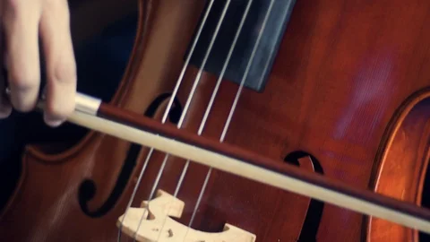 Man playing Cello 2 動画素材 88828826