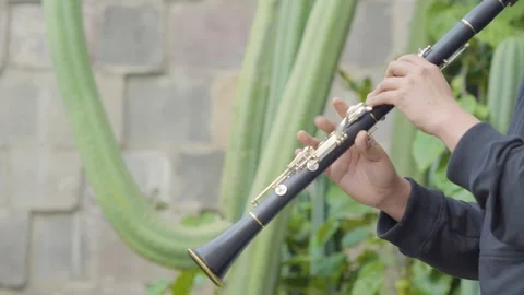 Man Playing a Clarinet Outside with Green Plantation in the Background. Stock Footage 249527672
