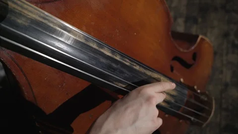 Man playing contrabass. Close up. 4K Stock Footage 105260198