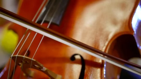 Man is playing contrabass, moving bow over strings, close-up, camera rising to Stock-Footage 99569165