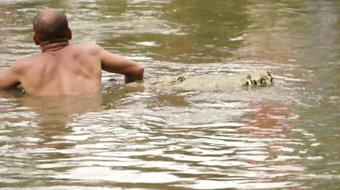 Man playing with crocodile in water Stock Footage 18192861