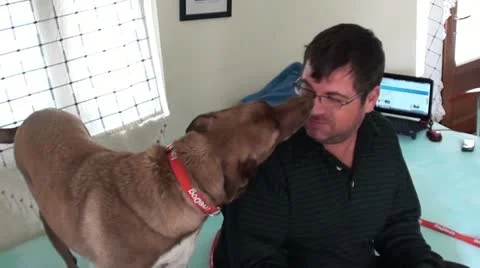 Man playing with dog Stock Footage 21425537