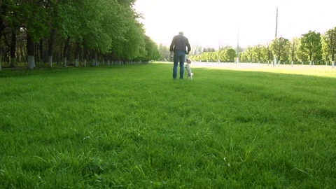 Man playing with a dog 스톡 동영상 75492449