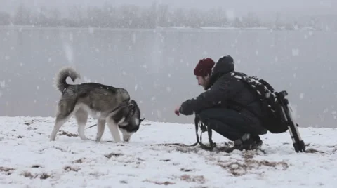 A man playing with a dog in winter Stock Footage 57708782