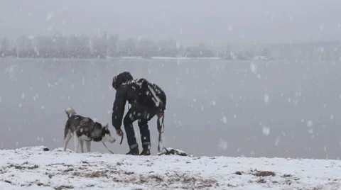 A man playing with a dog in winter Video stock 57708846