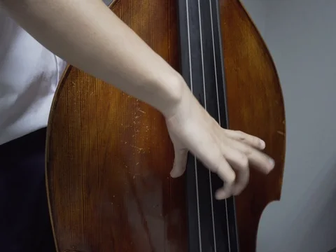 Man playing double bass Video stock 72202548