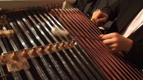 Man playing the dulcimer during a performance Stock Footage 95860417