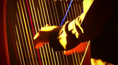 Man playing electing harp 02 Video stock 39830928