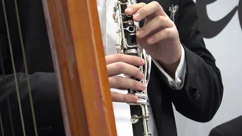 Man playing flute Stock Footage 76877537