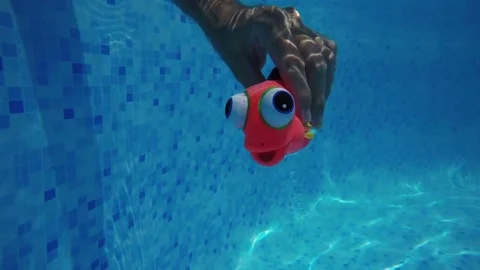 Man playing with generic rubber fish toy in swimming pool Stock Footage 77603639