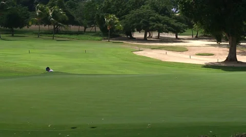 Man playing golf Stock Footage 40716143