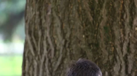 Man playing the guitar Stock Footage 59556448