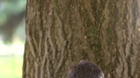 Man playing the guitar Stock Footage 59556449