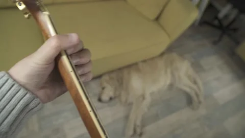 A man playing a guitar next to his retriever. Point of View Shot. POV video. Stock Footage 237941385