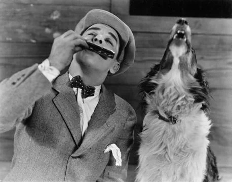 Man playing harmonica with howling dog Stock Photos