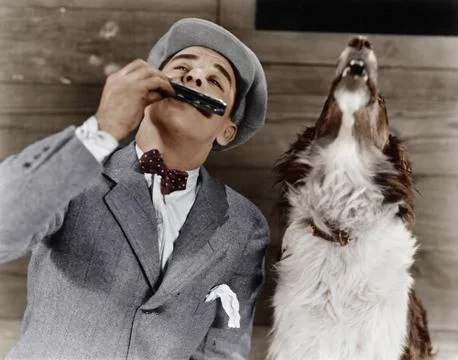 Man playing harmonica with howling dog Stock Photos