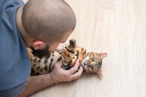 A man is playing with his cat Stock-Fotos