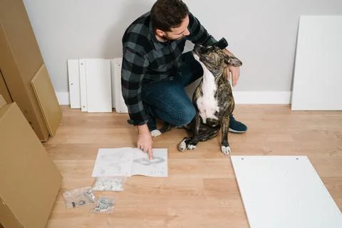 Man playing with his dog while he is assembling a piece of furniture himself. Do Stock Photos