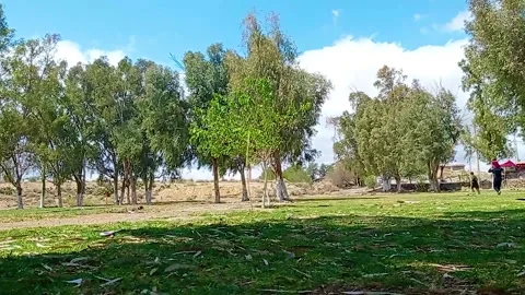 A Man Playing With his Sons in a park (M'silaAlgeria) Timelaps Stock Footage 153096573