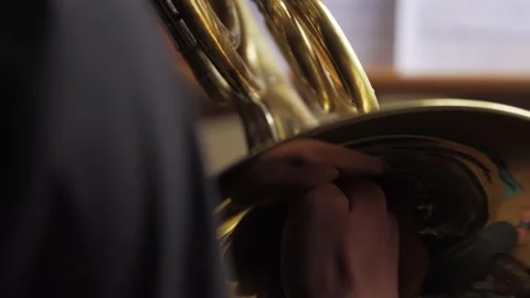 Man Playing the Horn Stock Footage 159202983