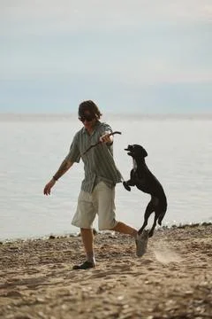 Man Playing with Jumping Dog on Beach Outdoors Stock Photos