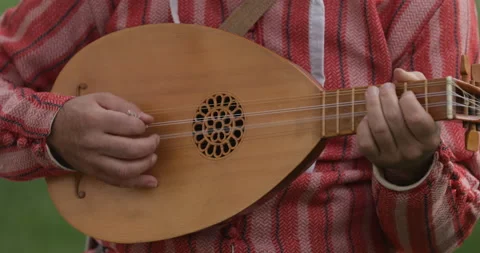 Man Playing Mandolin Outdoors Stock Footage 162682283