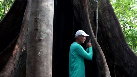 Man Playing a Rhythm on the Kapok Tree Stock Footage 223000972