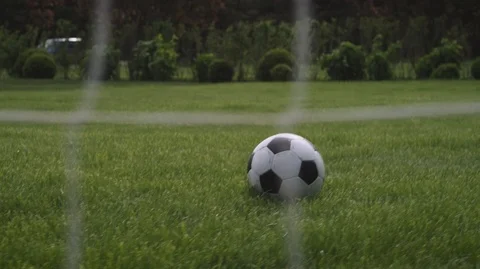 Man playing soccer Vidéo 119585436