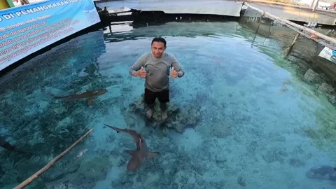 A man playing with some shark cubs on the island Stock Footage 220088121