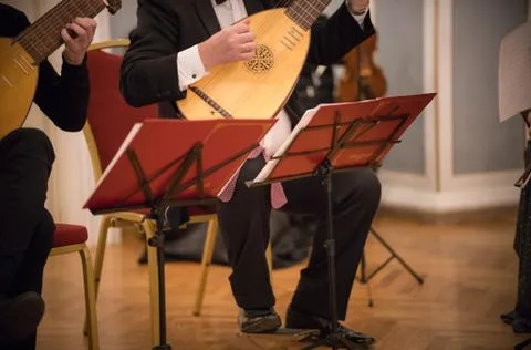 A man playing stringed folk instrument at the concert Stock Photos