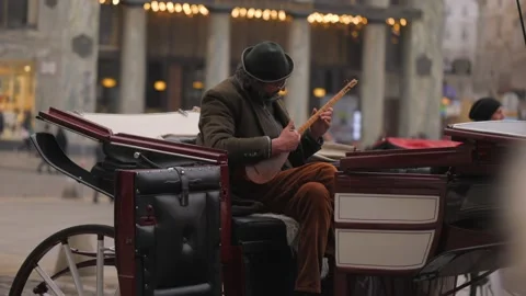 Man playing tradition instrument sitting in horse driven carriage in Vienna Stock Footage 165355446
