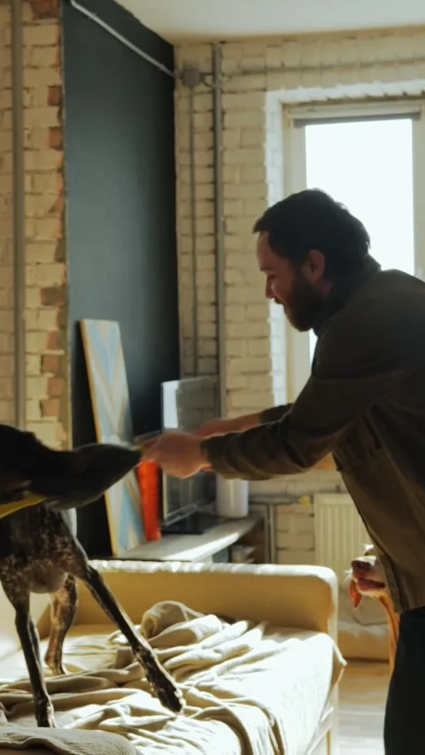 Man Playing Tug Game With Dog 스톡 동영상 320803440