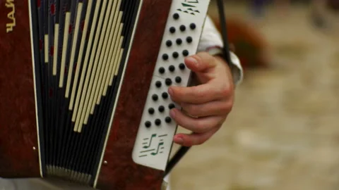 Man plays the accordion Stock-Footage 93683708