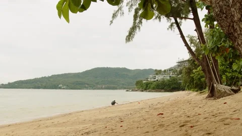 Man plays on the beach on a cloudy day the view of the bay and the villa. Phuket Stock Footage 223821984
