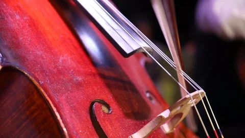 Man plays cello. closeup Stock-Footage 102173572