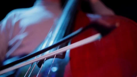 Man plays cello view from below. Video stock 74388654
