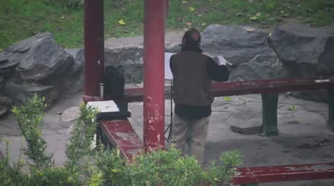 Man Plays Dizi Flute In Park Stock Footage 10595487