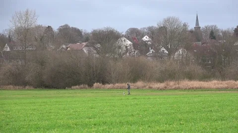 A man plays with a dog. Throws a ball to her.Green meadow. Stock Footage 100442624