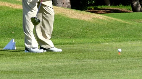 Man plays golf Stock Footage 46918582