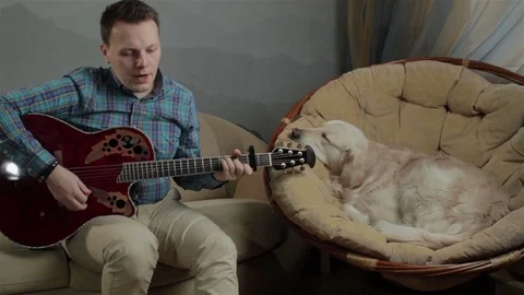 Man plays a guitar next to his retriever Video stock 72714738