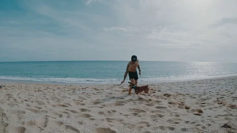 Man plays with his dog Видео 70084261