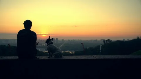 A man plays with his dog while watching the sunset Stock Footage 112076686