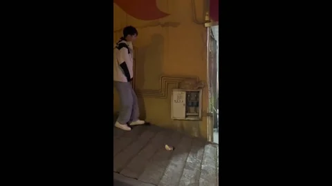 Man plays a prank on a cat by sneaking up on it from behind in Changsha, Chi... Stock Footage 280571114