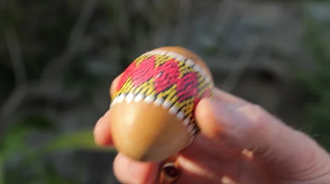 Man plays the shaker 스톡 동영상 61208170