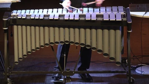 A man plays the vibraphone Stock Footage 105238192
