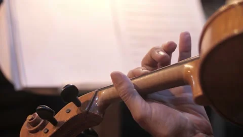 A man plays the violin Stock Footage 154910358