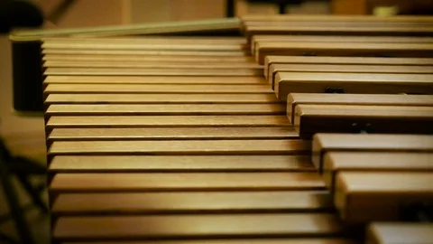 Man plays on xylophone Stock Footage 71542957