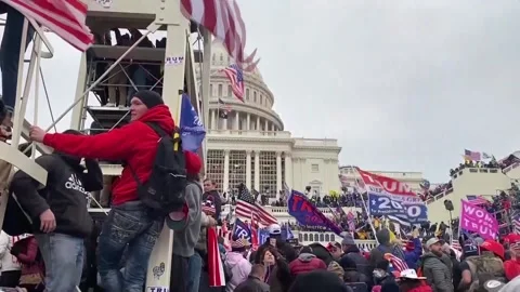 Man pleads guilty to seditious conspiracy for US Capitol attack, US, US - 03 Mar Stock Footage 204105775