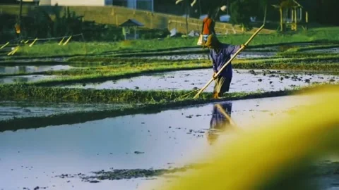 A man plowing a field Stock Footage 235187737