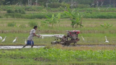 Man Plowing The Fields Stock Footage 141917406